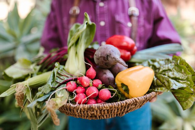 Fiera Agricola di Abbiategrasso: una tradizione che si rinnova