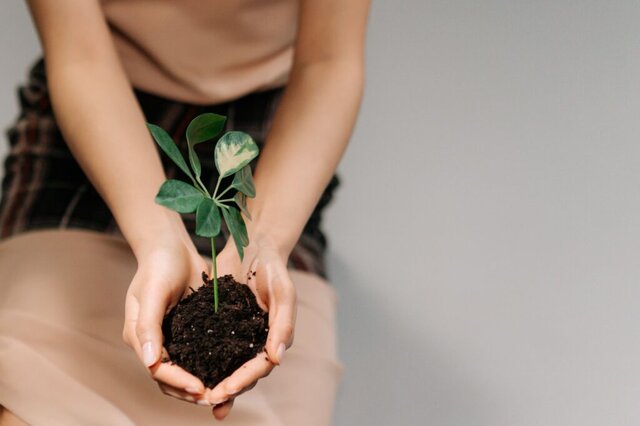 Nuove strategie per l’ambiente: l’Italia punta sulla natura