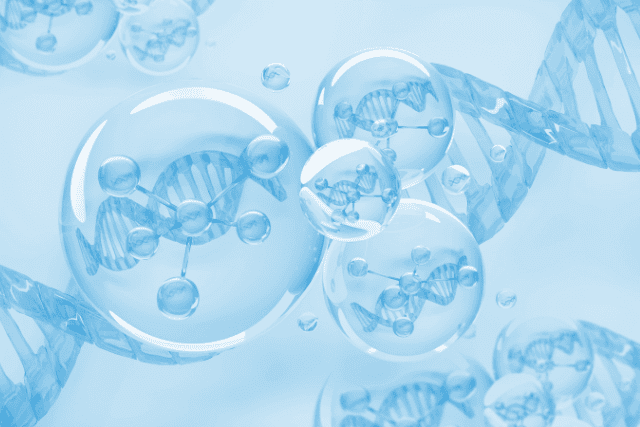 DMSO und ätherische Öle