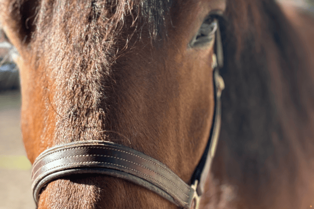 Persönliche Erfahrung Trinkverhalten 