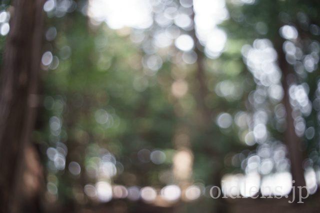 PENTACON auto MC 29mm F2.8 M42 Review作例 クセ玉おすすめ広角