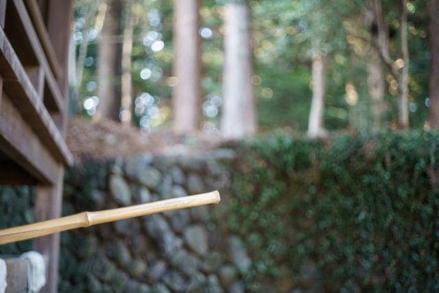 ★希少品＊超美品★pentax kx★富岡光学製/rikenon f2★作例必見 PENTAX K-x A High-Performance Entry-Class Digital SLR Camera