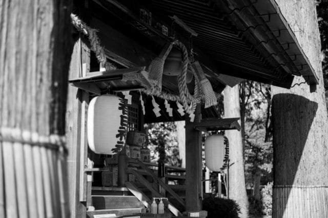 RICOH XR RIKENON 50mm F2 PK Review作例 前期型 富岡光学製おすすめ