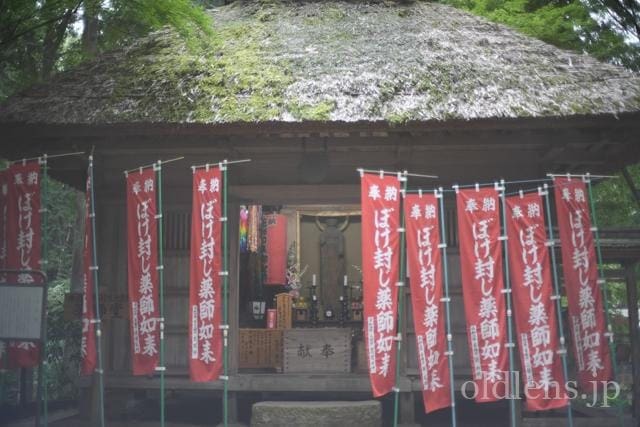 konica hexanon ar 40mm f1.8 review 作例 エモい写真 エモい画像 レトロ