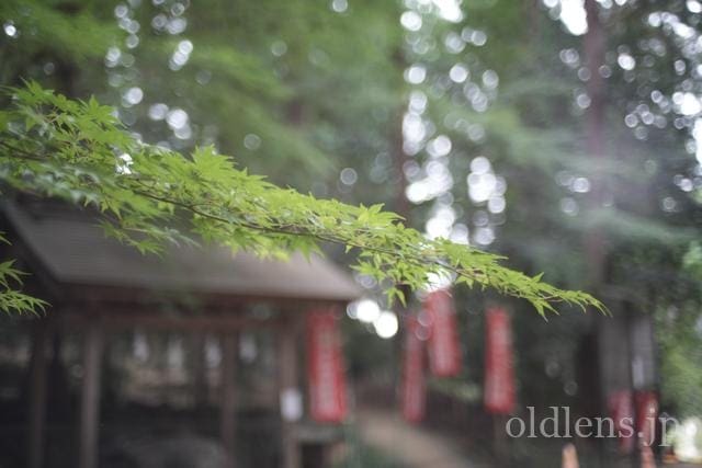 konica hexanon ar 40mm f1.8 review 作例 寺院 玉ボケ バブルボケ エモい写真 エモい画像 レトロ