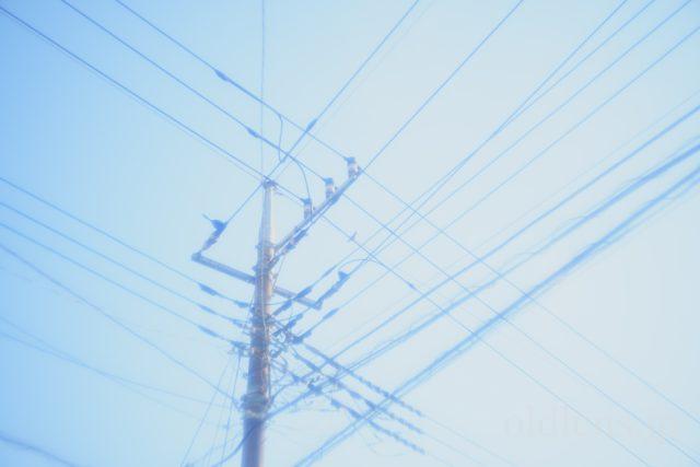 MS-OPTICS VARIOPRASMA 50mm F1.5 Review 作例画像 エモい写真 宮崎光学バリオプラズマ 青空 鳥 風景