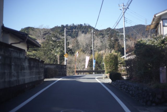 Summicron 5cm F2 作例 吉野梅郷 