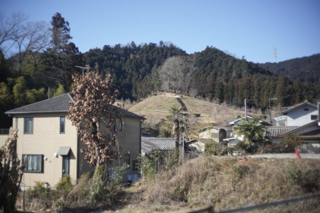 Summicron 5cm F2 作例 吉野梅郷 