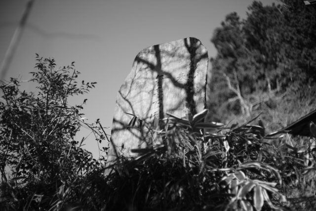 Leica Summicron 50mm F2 レビュー作例 沈胴ズミクロン第一世代1st