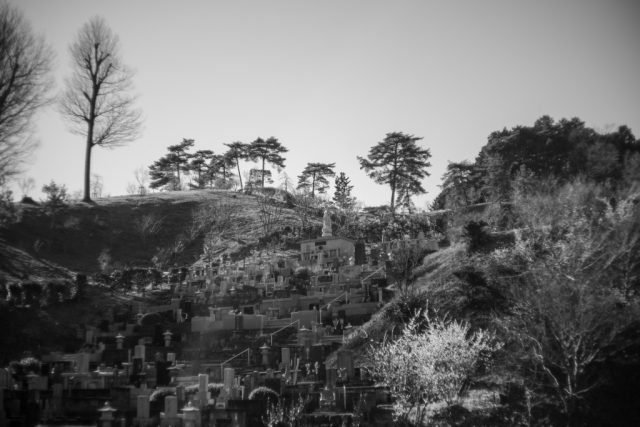 Summicron 5cm F2 作例 吉野梅郷