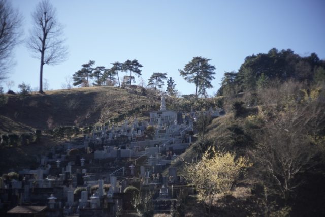 Summicron 5cm F2 作例 吉野梅郷