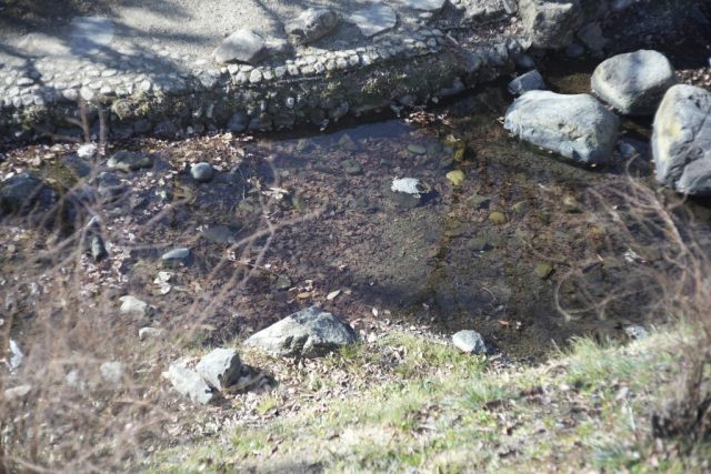 Summicron 5cm F2 作例 吉野梅郷 小沢