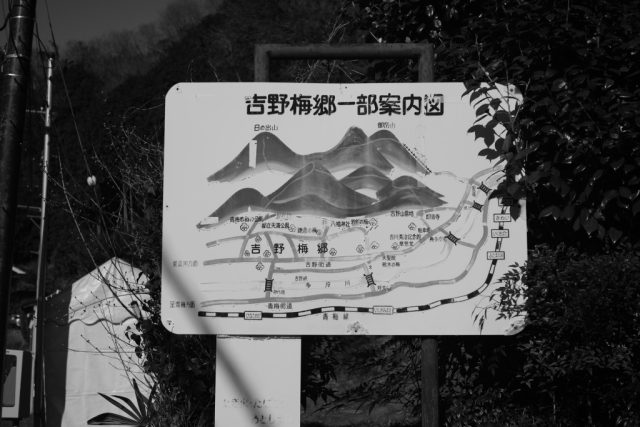 Summicron 5cm F2 作例 吉野梅郷 案内看板