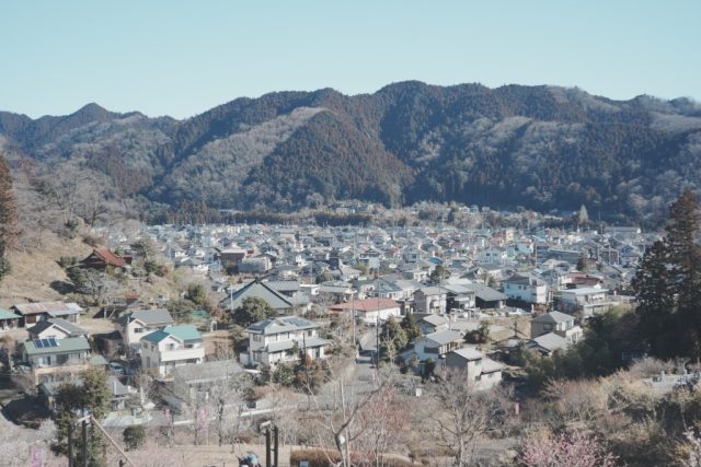 Summicron 5cm F2 作例 吉野梅郷 頂上付近から見下ろした絶景