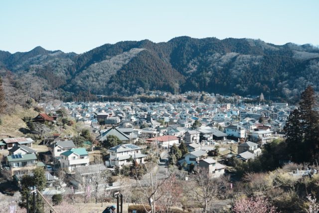 Leica Summicron 50mm F2 レビュー作例 沈胴ズミクロン第一世代1st