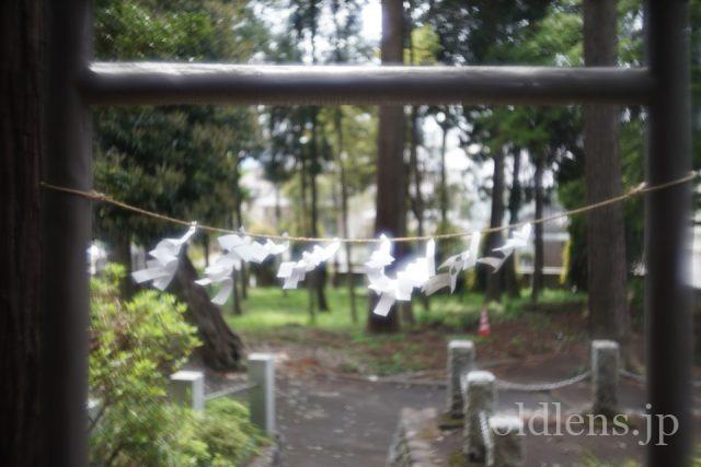 宮崎光学 VARIOPRASMA 50mm f1.5 MS-OPTICS Review 作例 現行の銘玉 滲み 神社