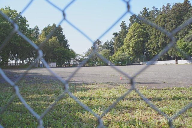 Konica Hexanon AR 35mm f2.8 作例画像 エモい写真が撮れるオールドレンズ 自然 公園