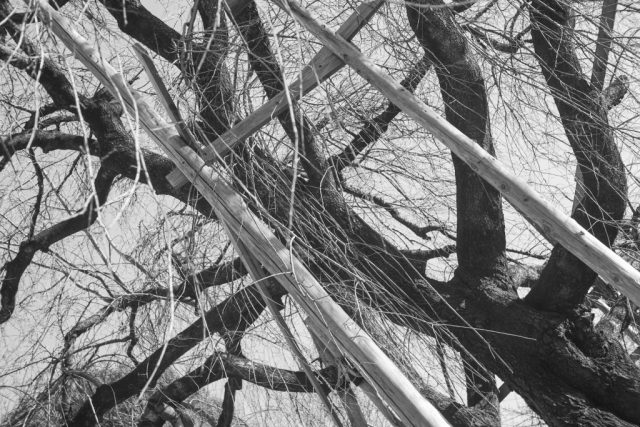 Elmar 5cm f3.5 作例 ライカ銘玉 新春初詣神社モノクロ