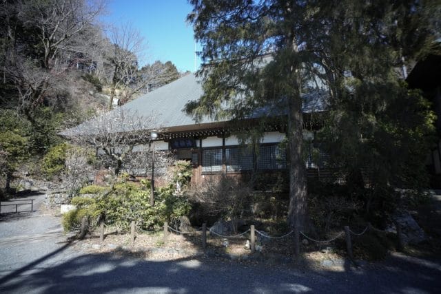 GR Lens 21mm f3.5 L39の作例