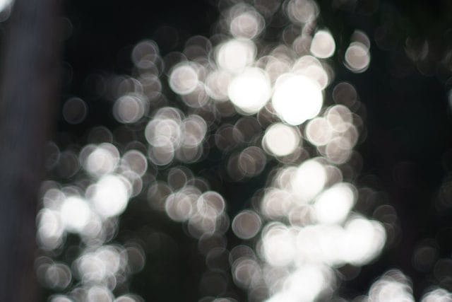 MC Rokkor-PF 58mm f1.4 作例 バブルボケ