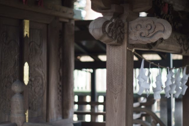 MC Rokkor-PF 58mm f1.4 作例 エモい 昭和レトロ 落ち葉と鳥の白い羽根