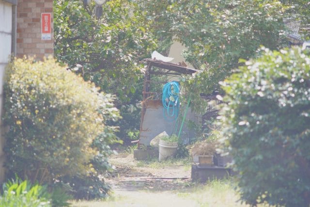 Super Takumar 200mm F4の作例 エモい写真 自然 田舎 生活 春