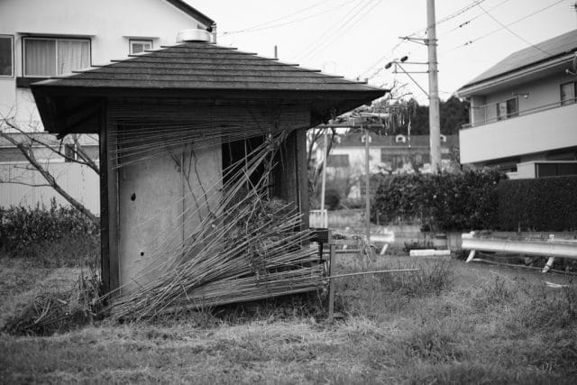 Summicron 50mm f2 第3世代の作例Review