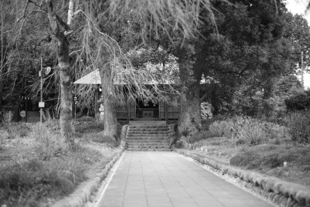 Summicron 50mm f2 第3世代の作例Review