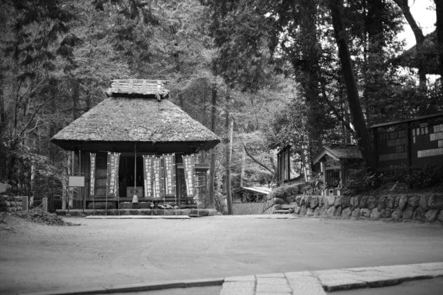 Summicron 50mm f2 第3世代の作例Review