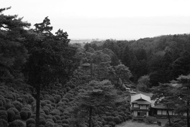 Summicron 50mm f2 第3世代の作例Review