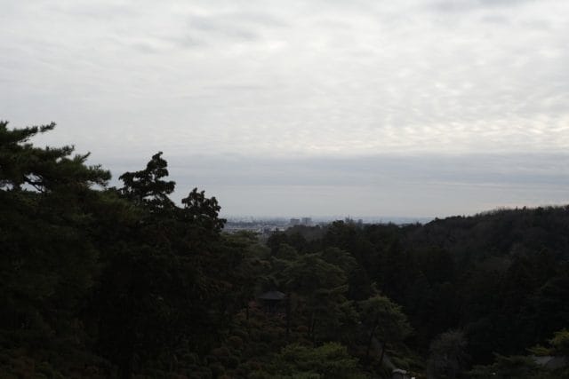 Summicron 50mm f2 第3世代の作例Review