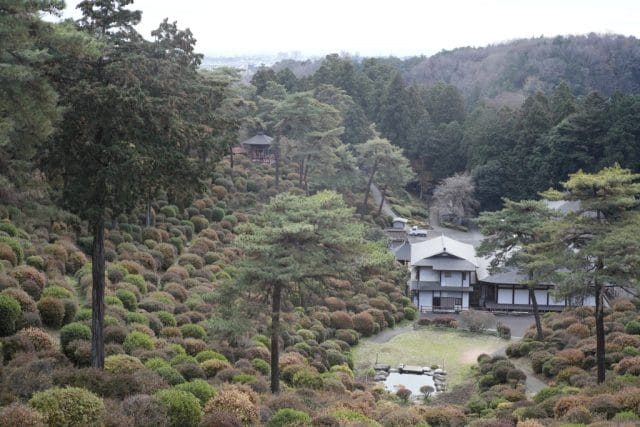 Summicron 50mm f2 第3世代の作例Review