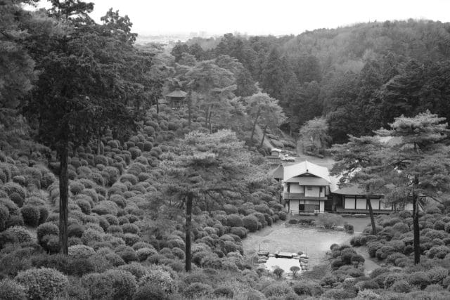 Summicron 50mm f2 第3世代の作例Review