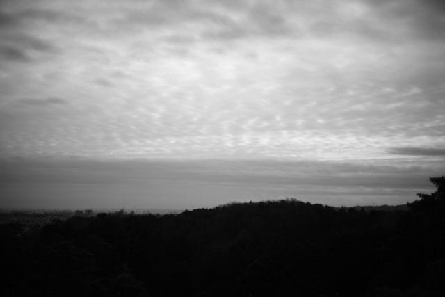 Summicron 50mm f2 第3世代の作例Review