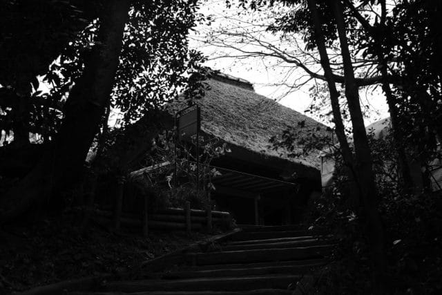 Summicron 50mm f2 第3世代の作例Review