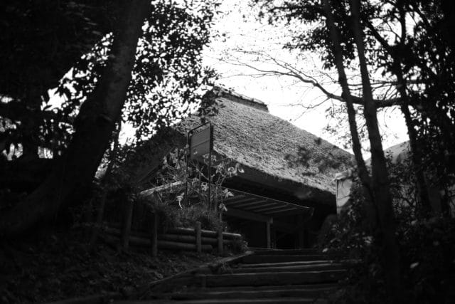 Summicron 50mm f2 第3世代の作例Review