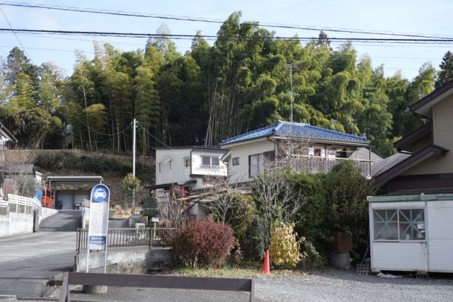 Summicron 50mm f2 第3世代の作例Review