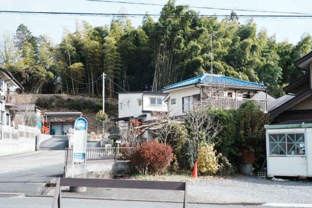 Summicron 50mm f2 第3世代の作例Review