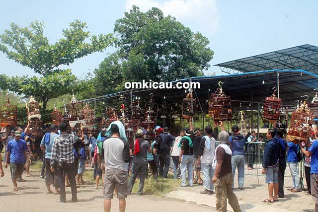 Bupati Cup Bogor Bupati Cup Bogor