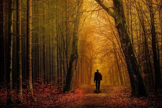 Człowiek idący leśną ścieżką, gdzie z ciemnego lasu wychodzi na jasną polanę, symbolizującą przejście od depresji do lepszego samopoczucia dzięki uważności.