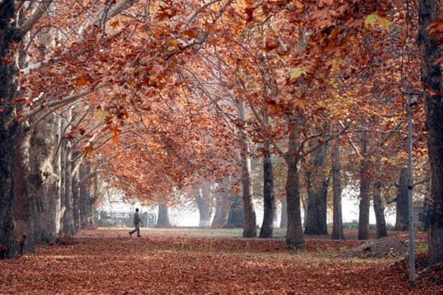 Kashmir autumn poem