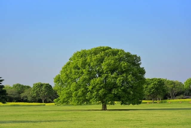 ③ 東京都・区市町村の補助金で実質負担を大きく削減
