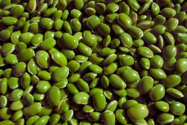 Foods That Make You Full and Help You Lose Weight