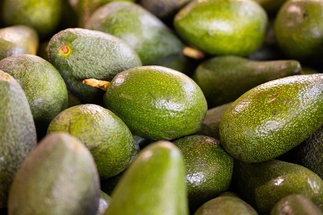 What is a avocado?