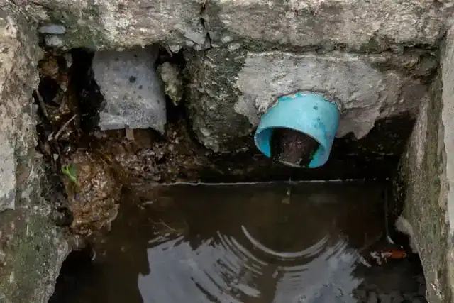Outdoor drains clogged