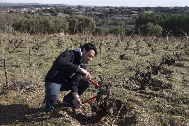 Alvar de Dios entre viñas en Las Arribes del Duero