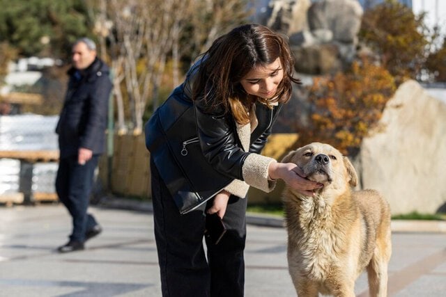 Dog Bite Lawyers NJ
