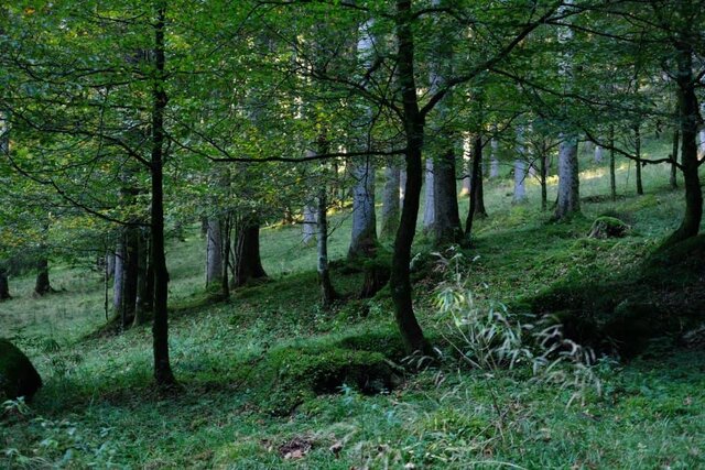 Uliana Selva Granzotto Cansiglio