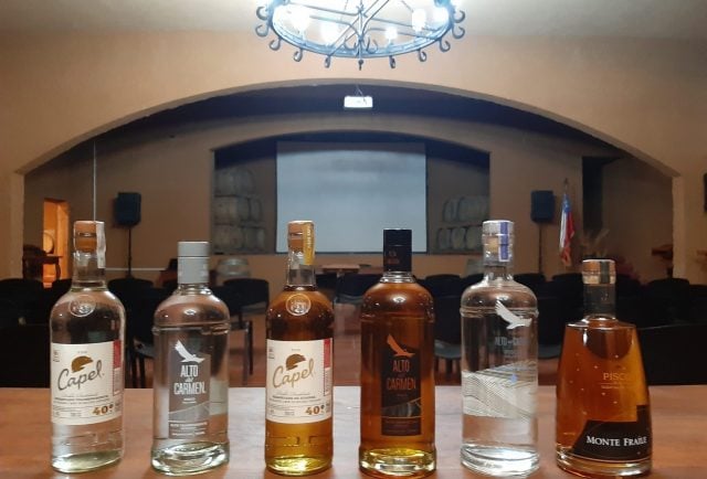 La Ruta del Vino más larga del mundo