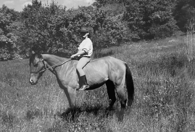 Adele Bardazzi Sparare a zero